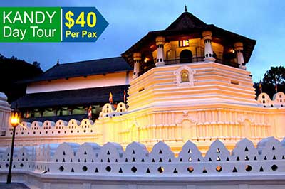 Sri Lanka Day Tour Kandy | walklankatours.com