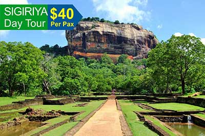 Sri Lanka Day Tour Sigiriya | walklankatours.com
