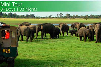 Sri lanka Mini Tour Package | walklankatours.com