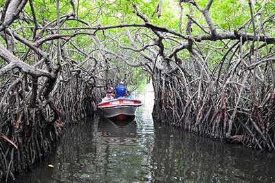 Madu River Fish Spa | walklankatours.com