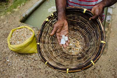 Meetiyagoda | walklankatours.com