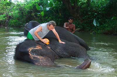 Pinnawala Elephant Orphanage | walklankatours.com