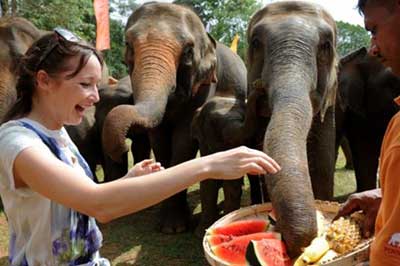 Walk Lanka Tours Pinnawala Elephant Orphange | walklankatours.com