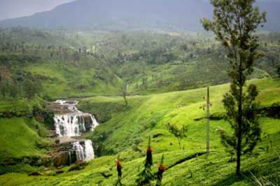 Walk Lanka Tours Horton Plains | walklankatours.com