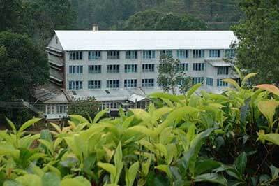 Tea Plantation Factory Nuwara Eliya | walklankatours.com