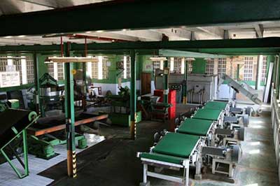Tea Plantation Factory | walklankatours.com
