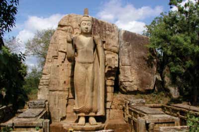 Avukana Buddha Statue | walklankatours.com