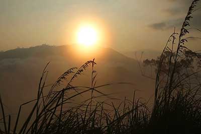 Punchi Sri Pada | walklankatours.com