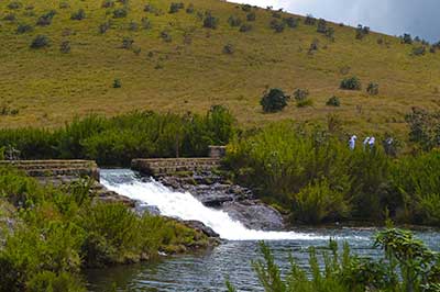 Horton plains National Park | walklankatours.com