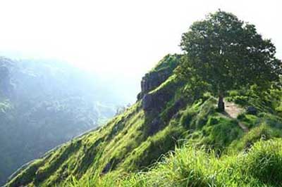 Little Adams Peak | walklankatours.com