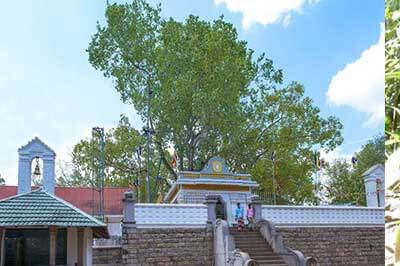 Anuradhapura Ancient City | walklankatours.com