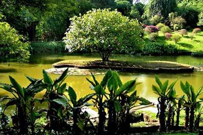 Royal Botanical Garden | walklankatours.com