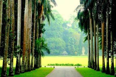 Botanical Garden | walklankatours.com