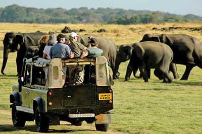 Mineriya Jeep Safari | walklankatours.com