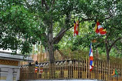 Anuradhapura Ancient City | walklankatours.com