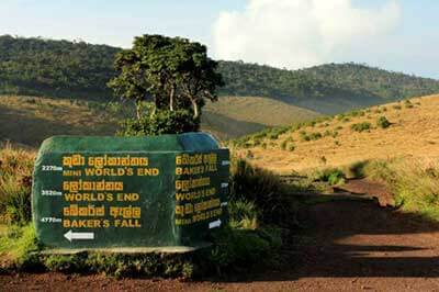 Horton plains National Park | walklankatours.com