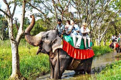 Habarana Elephant Ride | walklankatours.com