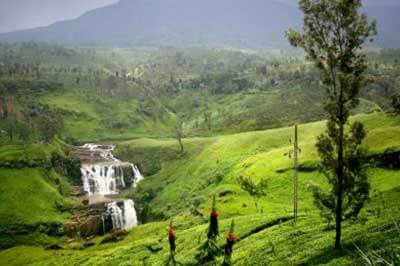 Horton plains Nuwara Eliya | walklankatours.com