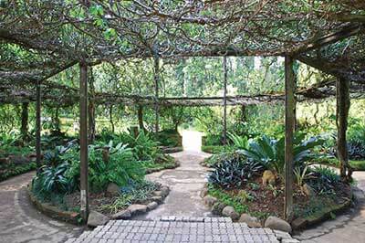 Botanical Garden | walklankatours.com