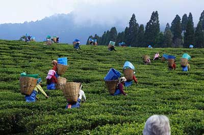 Gregory Lake Nuwara Eliya | walklankatours.com