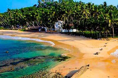 Sea Journey Mirissa | walklankatours.com