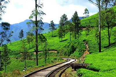 Train Journey | walklankatours.com