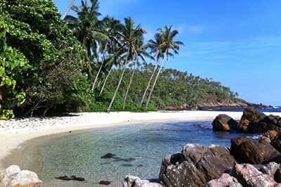Mirissa Beach | walklankatours.com