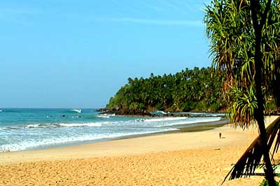 Mirissa | walklankatours.com