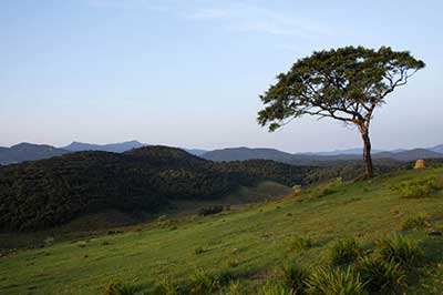 -Horton plains National Park | walklankatours.com