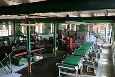 Tea Plantation Factory Nuwara Eliya | walklankatours.com