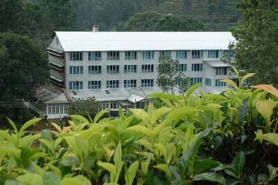 Tea Plantation Factory | walklankatours.com
